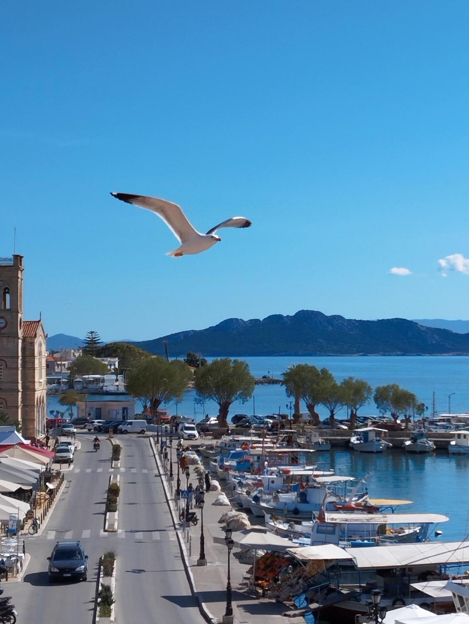Aegina Port Apt 2-Διαμέρισμα Στο Λιμάνι Της Αίγινας 2 Dış mekan fotoğraf